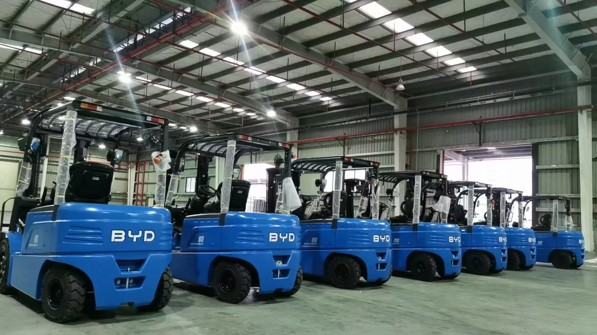 Forklift Rental 5